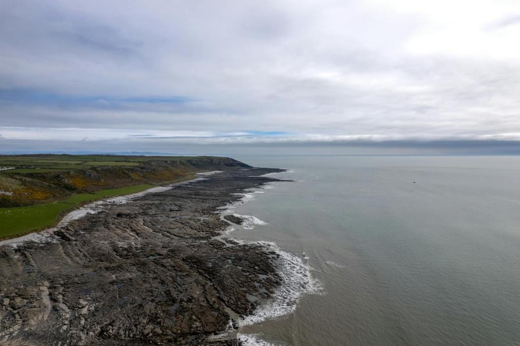 Mini Book Review: Adrienne&nbsp;Young